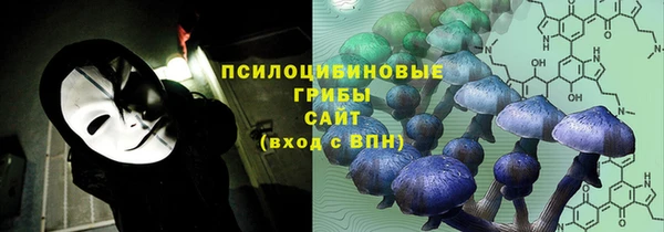 прущая мука Верея