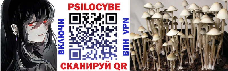 Галлюциногенные грибы GOLDEN TEACHER  Рузаевка 